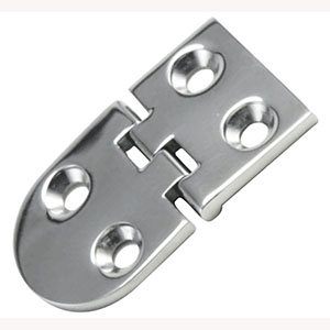 Cast Hinge