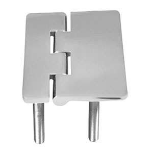 Hinge With Screws