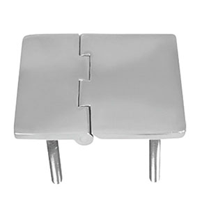 Hinge With Screws