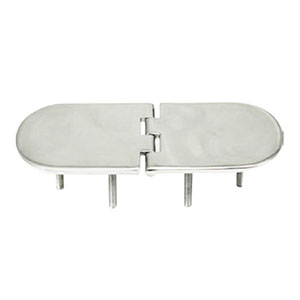 Hinge With Screws