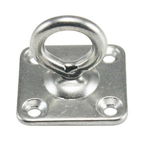 Swivel Eye Plate