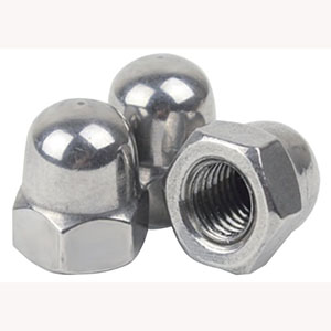 Dome Cap Nut DIN1587